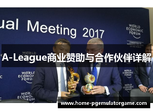 A-League商业赞助与合作伙伴详解