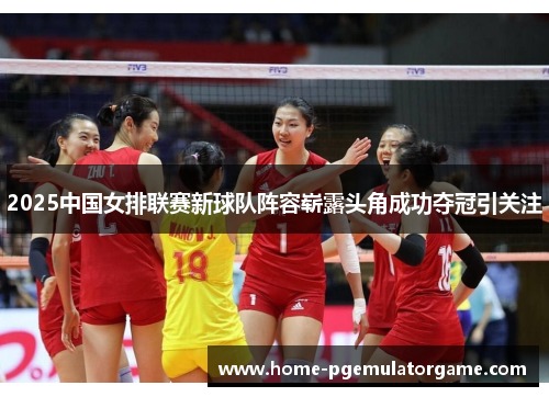 2025中国女排联赛新球队阵容崭露头角成功夺冠引关注