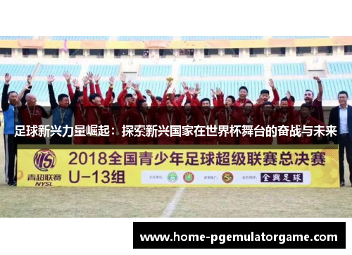 足球新兴力量崛起：探索新兴国家在世界杯舞台的奋战与未来