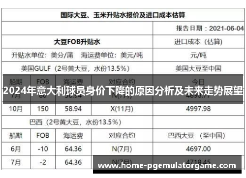 2024年意大利球员身价下降的原因分析及未来走势展望