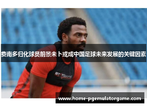 费南多归化球员前景未卜或成中国足球未来发展的关键因素