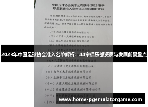2023年中国足球协会准入名单解析：44家俱乐部资质与发展前景盘点