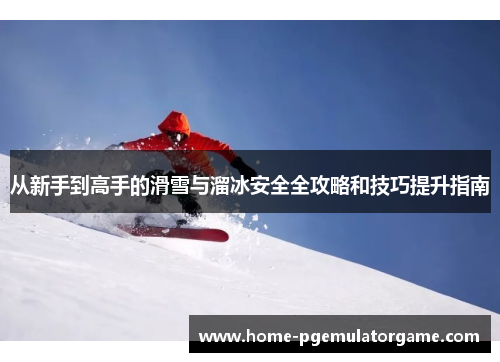 从新手到高手的滑雪与溜冰安全全攻略和技巧提升指南
