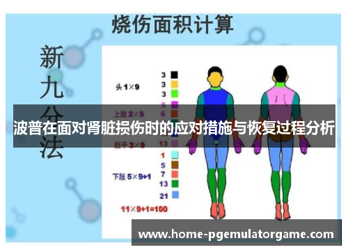 波普在面对肾脏损伤时的应对措施与恢复过程分析