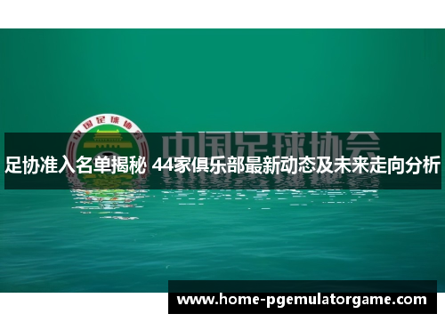 足协准入名单揭秘 44家俱乐部最新动态及未来走向分析