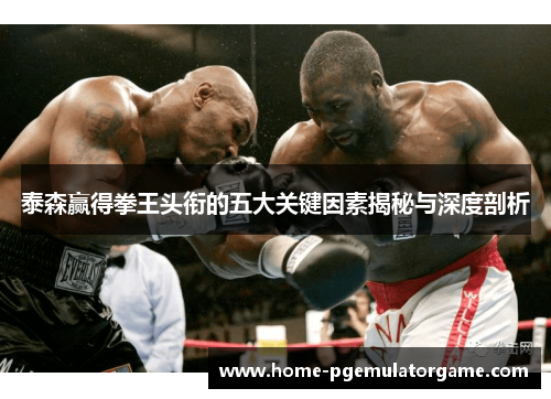 泰森赢得拳王头衔的五大关键因素揭秘与深度剖析
