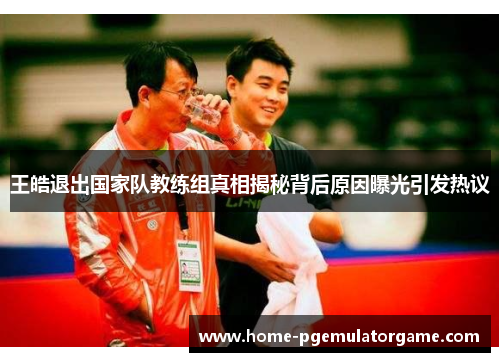 王皓退出国家队教练组真相揭秘背后原因曝光引发热议