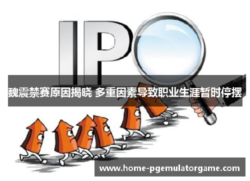 魏震禁赛原因揭晓 多重因素导致职业生涯暂时停摆