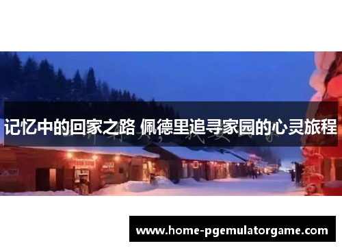 记忆中的回家之路 佩德里追寻家园的心灵旅程