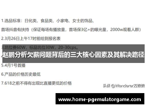 赵鹏分析欠薪问题背后的三大核心因素及其解决路径