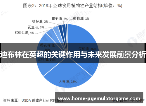 迪布林在英超的关键作用与未来发展前景分析