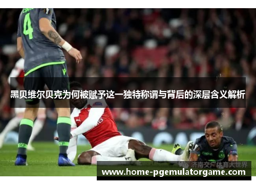 黑贝维尔贝克为何被赋予这一独特称谓与背后的深层含义解析