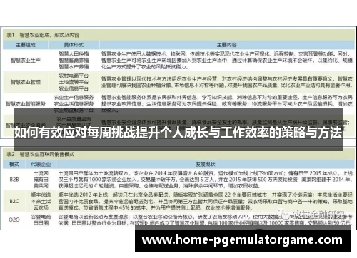 如何有效应对每周挑战提升个人成长与工作效率的策略与方法