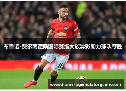 布鲁诺·费尔南德斯国际赛场大放异彩助力球队夺胜