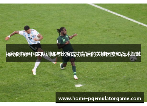 揭秘阿根廷国家队训练与比赛成功背后的关键因素和战术智慧