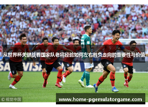 从世界杯关键战看国家队老将经验如何左右胜负走向的重要性与价值