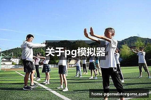 关于pg模拟器